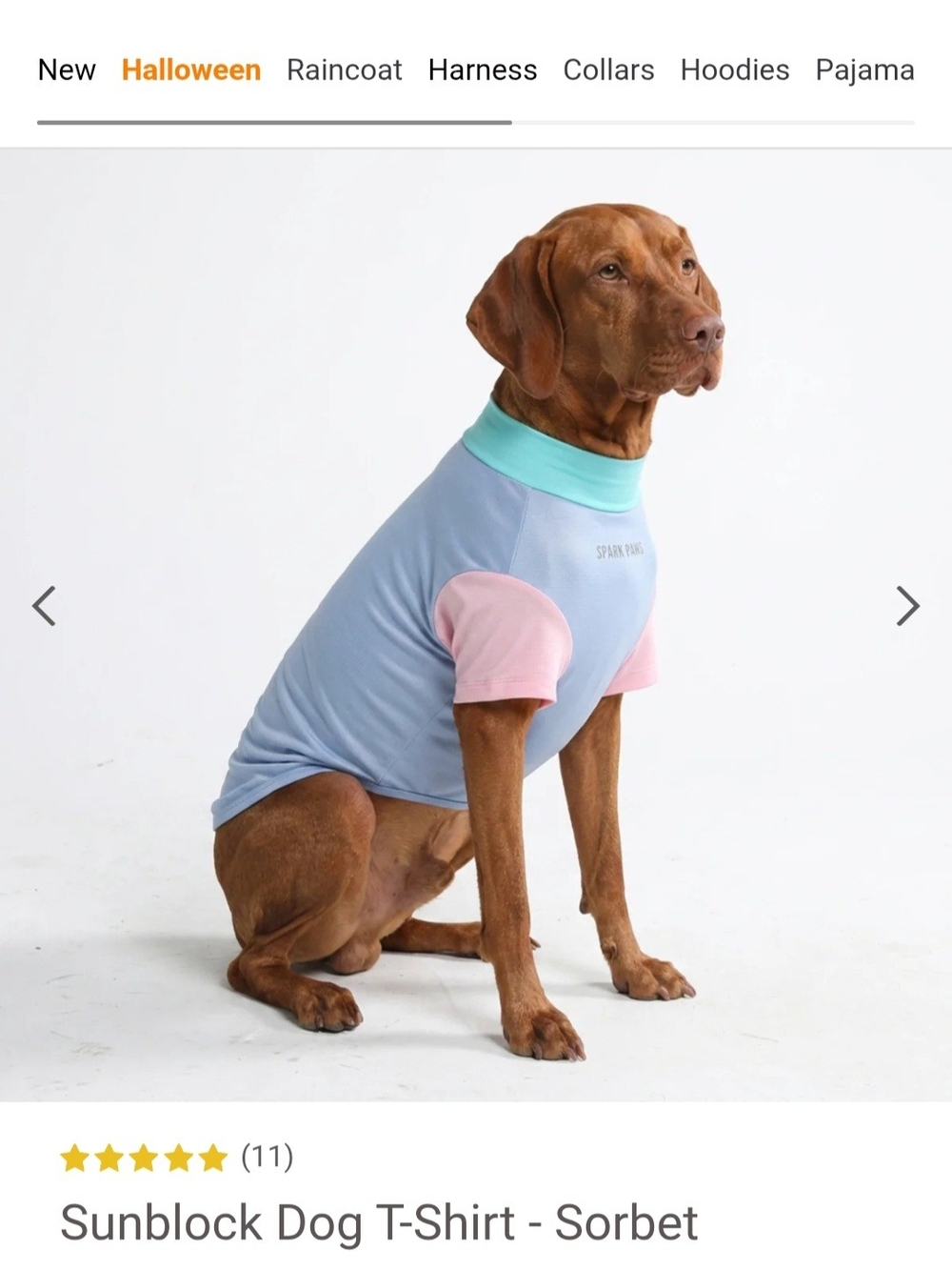 Sorbet Sunblock Dog Tee with Mint Collar